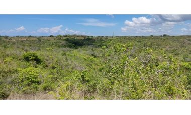 PIEDRAS GORDAS / SAN CARLOS / 330000M / VISTA  AL MAR / RIO CERCA  AG