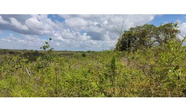 PIEDRAS GORDAS / SAN CARLOS / 330000M / VISTA  AL MAR / RIO CERCA  AG