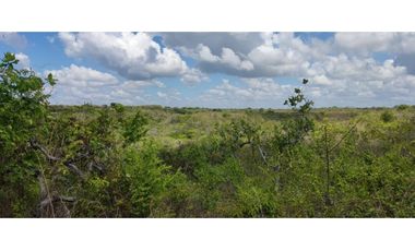 PIEDRAS GORDAS / SAN CARLOS / 330000M / VISTA  AL MAR / RIO CERCA  AG