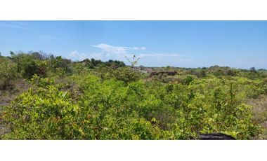 PIEDRAS GORDAS / SAN CARLOS / 330000M / VISTA  AL MAR / RIO CERCA  AG