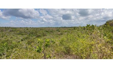 PIEDRAS GORDAS / SAN CARLOS / 330000M / VISTA  AL MAR / RIO CERCA  AG