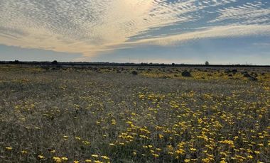 Parcelas con excelente ubicación y precio