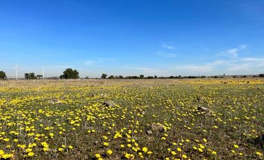 Parcelas con excelente ubicación y precio