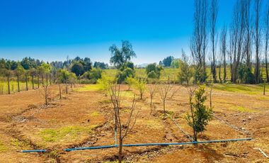 Gran oportunidad en San Clemente, Talca – Región del Maule
