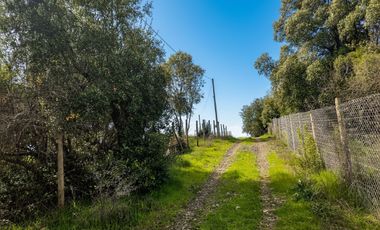 Gran oportunidad en San Clemente, Talca – Región del Maule