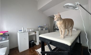 Gran Chalet con cochera en Cordoba esq. Falucho