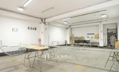 Local industrial en Ate Vitarte