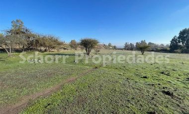 Sitio en Venta en Circunvalación sur Talca ,sector industrial , 12.900 m2.