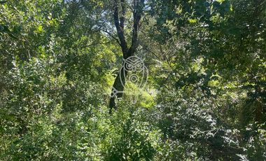 Parcela en Venta en Los cuarteles