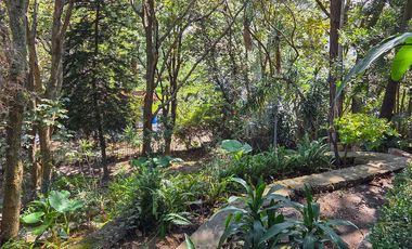 Hermosa casa en Pinar de la venta