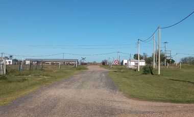 Terreno en Luis Palacios