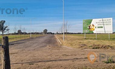Terreno en  Arroyo Seco (Barrio Francisco I)