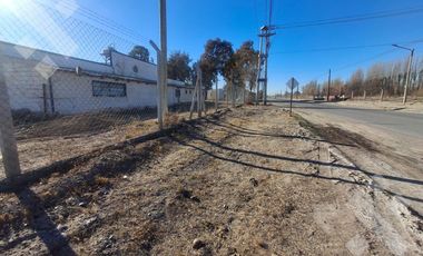 En Venta, Predio de 33000m², Galpón y Casa, Neuquén.