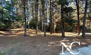 Casa en  venta en Costa Esmeralda con fondo libre