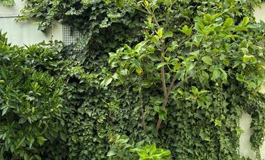 OPORTUNIDAD ARRIENDO CASA METRO ÑUBLE