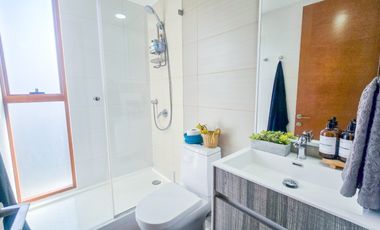 Top 2 Dor. Suite 2Bñ. Amoblado Y Equipado. Los Leones. Metro