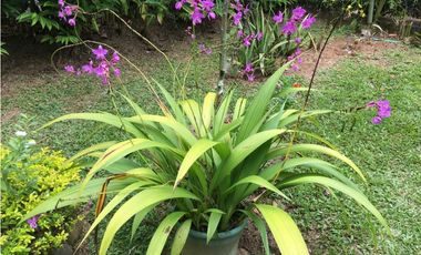 Finca en Venta en San Jerónimo Antioquia