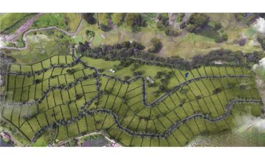 Lote en Venta en el Municipio de Marinilla Antioquia Sector Cimarronas