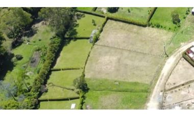 Lote en Venta en Guarne Antioquia Vereda Toldas