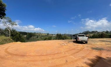 Lote en Venta en Guarne Antioquia vereda Canoas