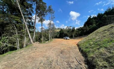 Lote en Venta en Guarne Antioquia vereda Canoas