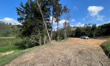 Lote en Venta en Guarne Antioquia vereda Canoas