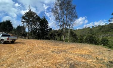 Lote en Venta en Guarne Antioquia vereda Canoas