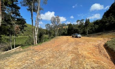 Lote en Venta en Guarne Antioquia vereda Canoas