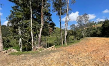 Lote en Venta en Guarne Antioquia vereda Canoas