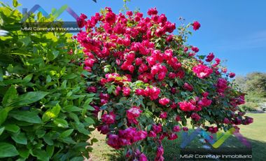 BELLA Y ACOGEDORA  PARCELA EN VENTA