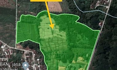 Di Jual Rumah Restoran luas Tanah 6HA Nego Sampai Deal