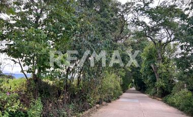 Terreno en Venta en San Andrés Ixtlahuaca, Oaxaca — Ideal para Proyecto de Retiro o Agronegocio - (3)