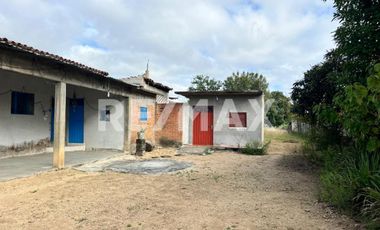 Terreno en Venta en San Andrés Ixtlahuaca, Oaxaca — Ideal para Proyecto de Retiro o Agronegocio - (3)