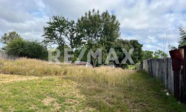 Terreno en Venta en San Andrés Ixtlahuaca, Oaxaca — Ideal para Proyecto de Retiro o Agronegocio - (3)