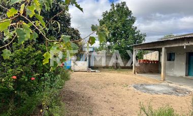 Terreno en Venta en San Andrés Ixtlahuaca, Oaxaca — Ideal para Proyecto de Retiro o Agronegocio - (3)