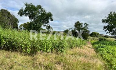 Terreno en Venta en San Andrés Ixtlahuaca, Oaxaca — Ideal para Proyecto de Retiro o Agronegocio - (3)