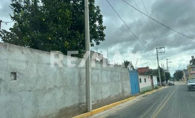 Terreno en Venta en San Andrés Ixtlahuaca, Oaxaca — Ideal para Proyecto de Retiro o Agronegocio - (3)