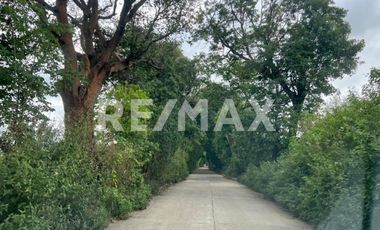 Terreno en Venta en San Andrés Ixtlahuaca, Oaxaca — Ideal para Proyecto de Retiro o Agronegocio - (3)