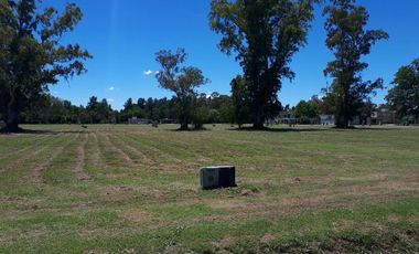 Terreno - Campos Daromy