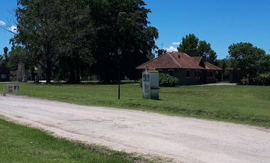 Terreno - Campos Daromy