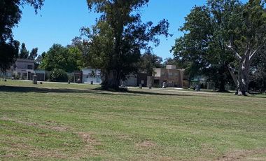 Terreno - Campos Daromy