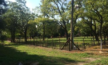 Quinta en venta - 2 Dormitorios 1 Baño - 100.000Mts2 - Florencio Varela