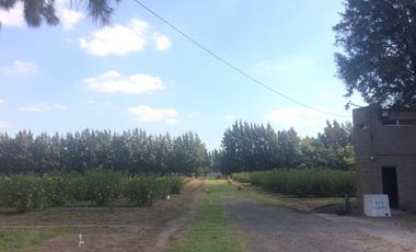 Quinta en venta - 2 Dormitorios 1 Baño - 100.000Mts2 - Florencio Varela