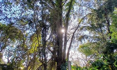 VENTA DE TERRENO CON CASA A DEMOLER O RECICLAR AL 100%