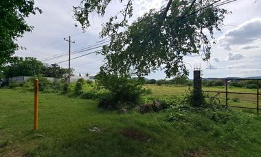 Terreno en Venta, Cuautla, 5,048 m2