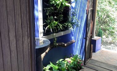 Quinta en Venta, Casa de los Milagros, 4 casas