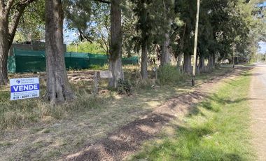 Terreno en venta - Pavon