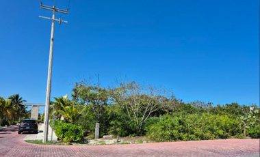 Terreno en Renta ubicado Puerto Lindo, Chelem.