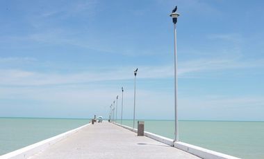 Terreno en Renta ubicado Puerto Lindo, Chelem.