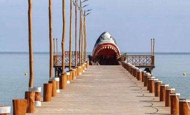 Terreno en Renta ubicado Puerto Lindo, Chelem.